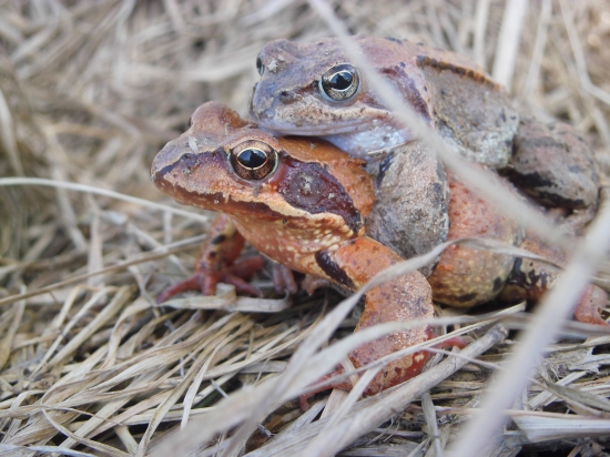 Už to na nich prichádza