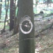 terč