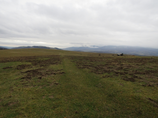 Keď sa zíjde patria