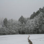 Zima sa len tak nevzdá