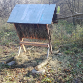 Prikrmene