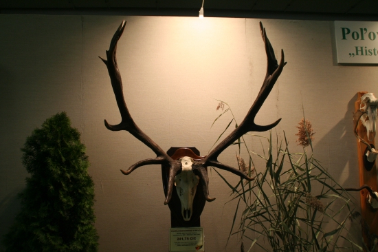 Najsilnejšia trofej