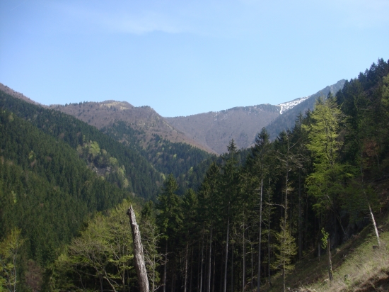 Dolina KUR