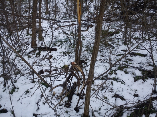 spomienky ( 10torak)