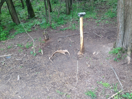 Prvá tohotoročná lopatka