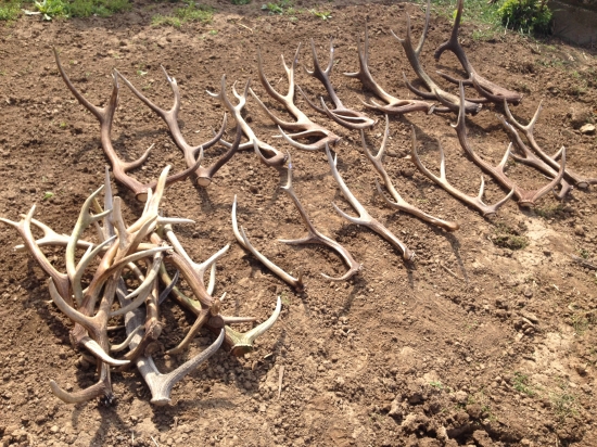 Výsledok za tri roky