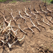 Výsledok za tri roky