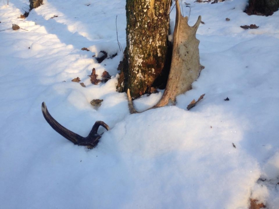 Posledny v tomto roku