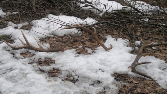 1,2,3...takto sme začali...