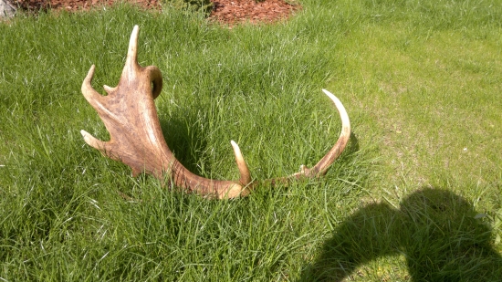 ťažko vychodený...