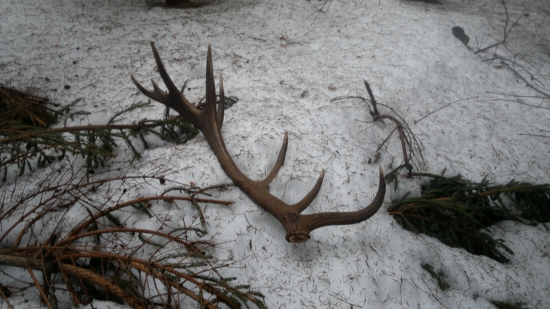 motivacia z roku 2012 marec!