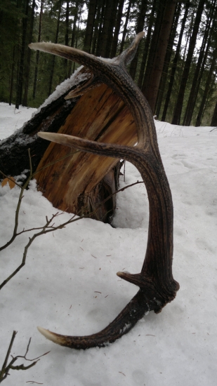 konečne po 80 km/ 01/13