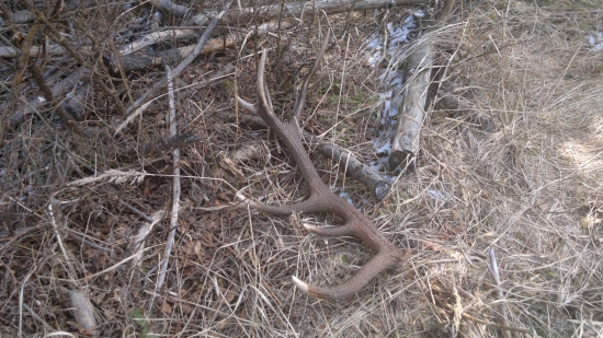 ...kto chodi ..vychodí...zaslúžený (14/13)