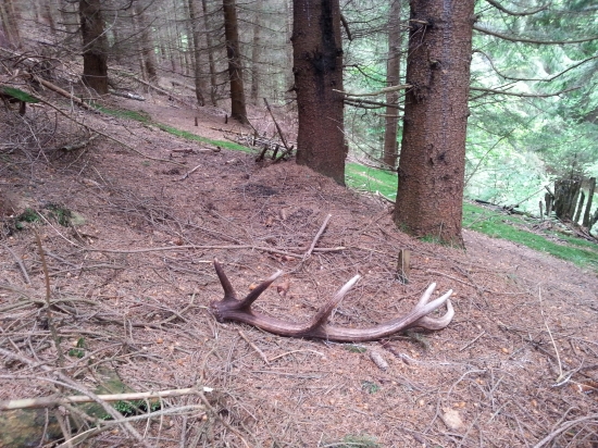 dozber 2 parožie!!!