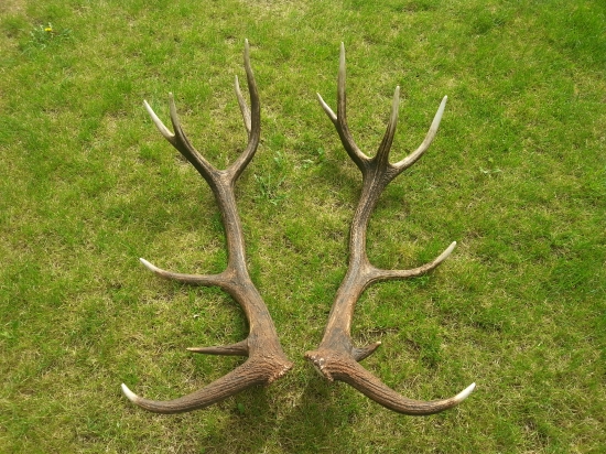 z tych krajsich tohorocnych parov:)