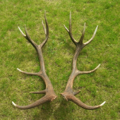 z tych krajsich tohorocnych parov:)