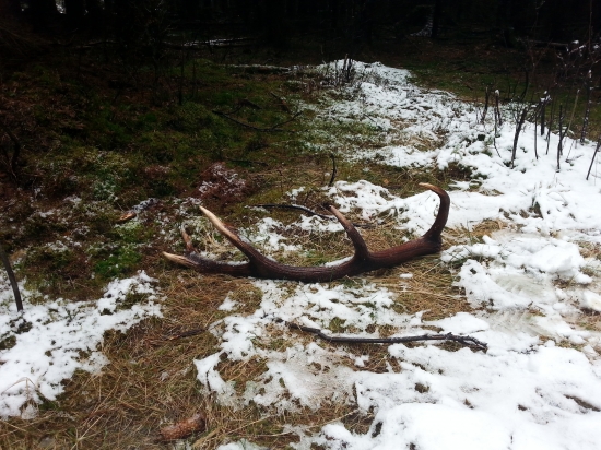 start new season -  2014