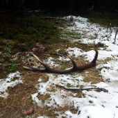 start new season -  2014