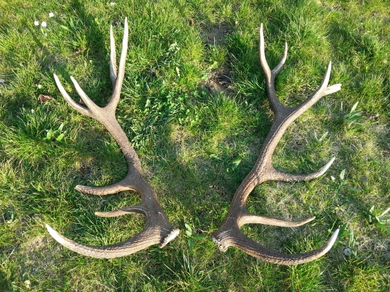 tohoročná naj...pára :)