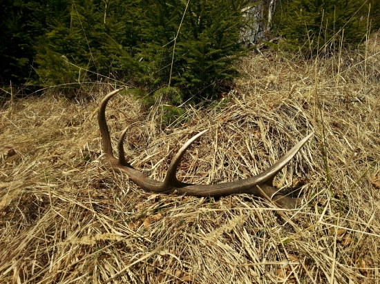 pekné spomienky na marec 2014...