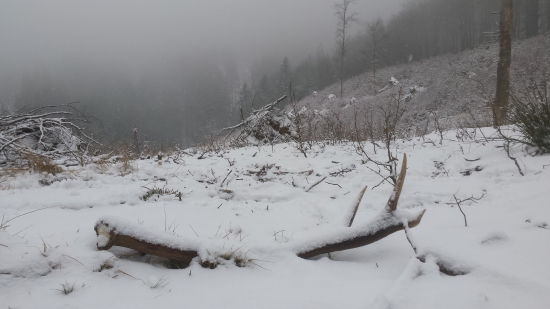 uz len spomienka na začiatok marca '15