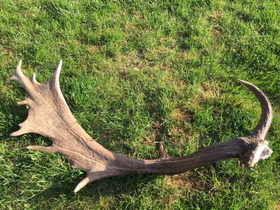 Z tych krajšich 2015