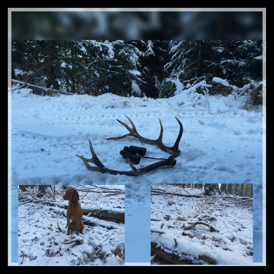 Vlanajši desatorak- 2,3/16