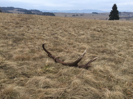 4/16 2,6kg štrnástorák