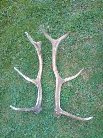 Tohtoročne menšie ale potešili