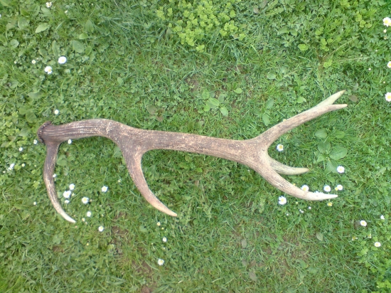 Včerajší ale uz starší 12- torak