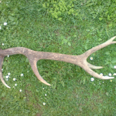 Včerajší ale uz starší 12- torak