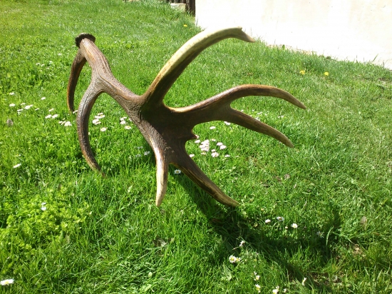 Zatial najkrajsi aky som nasiel