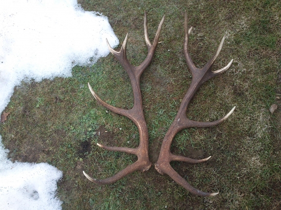 Pár 14-toraka....veľmi potešil :)