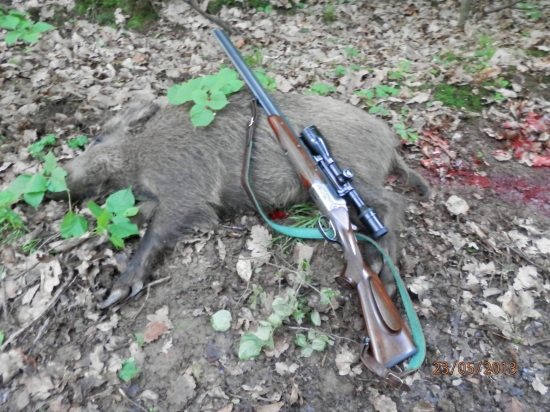 lLončák - 35 kg.