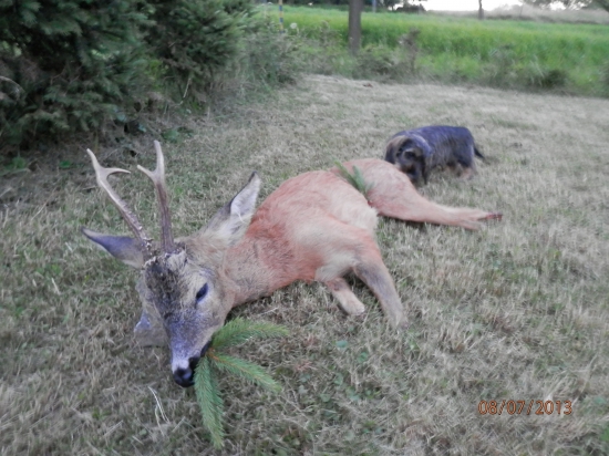 Po úspěšném dosledu.