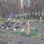 Naháňka na černou zvěř.