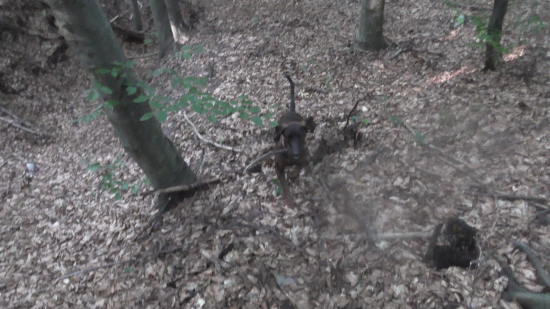 Dnešná prechádzka