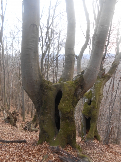 domcek  kto vtebe byva