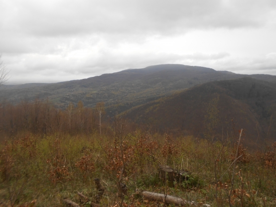 poloniny pred burkou