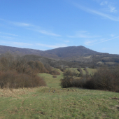 Jar v Poloninach