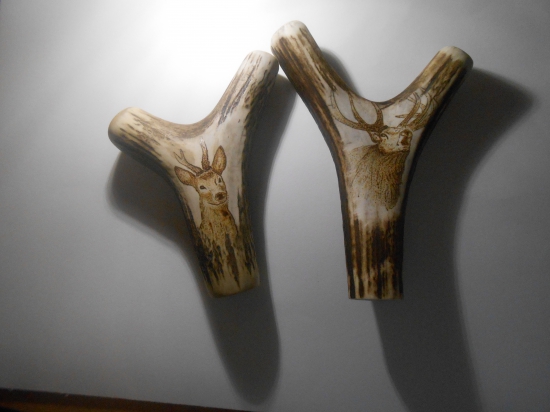 na pľovnicke palice