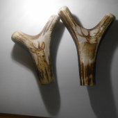 na pľovnicke palice