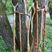 polovnicke palice zo samorostov