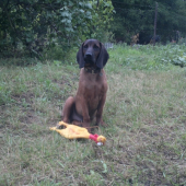 asan