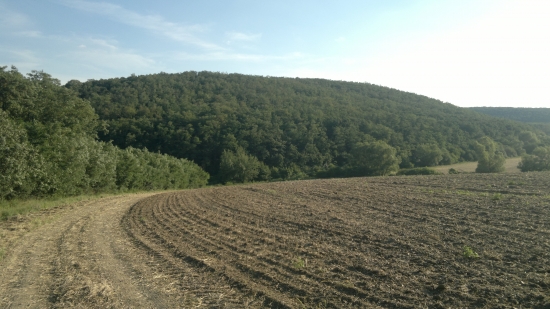 panorama,