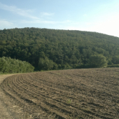 panorama,