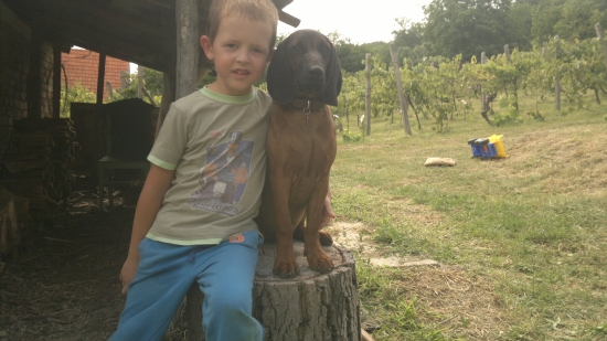 nerozlucna dvojka´´´