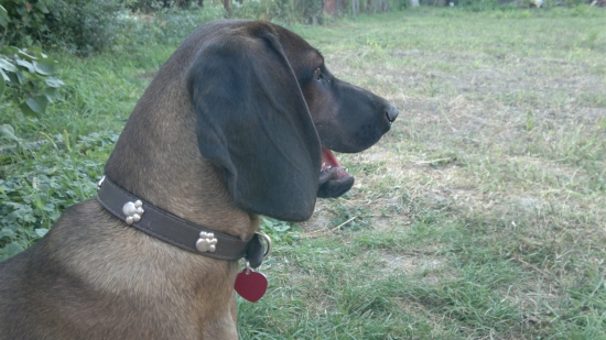 asan,rastie ako z vody´´´