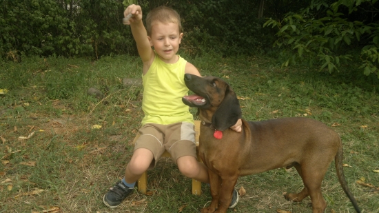 pokus o aportovanie,