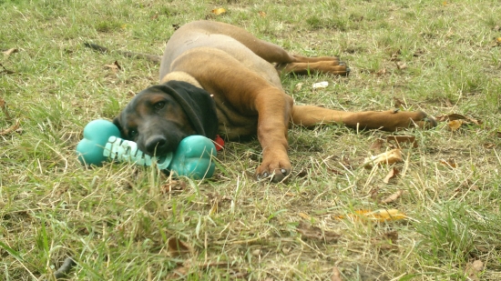 po nahanacke oddych,,,